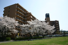 IMG_6408mini.jpg